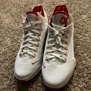 Ohio State Lebron 19 PE size 13